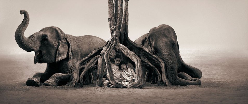 fotografías