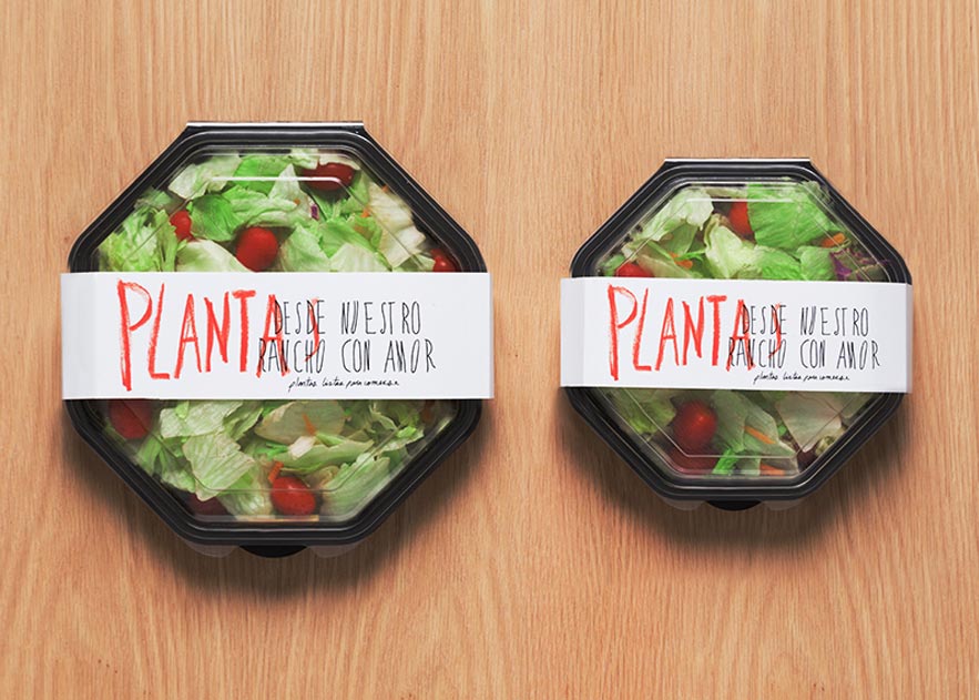 restaurante santa cruz