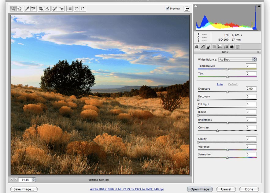 Fotógrafo Profesional