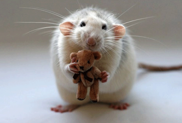 Jessica Florence fotografía profesional