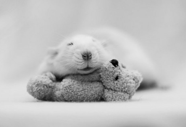 fotografía-profesional6