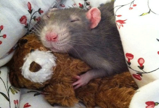 Jessica Florence Photography